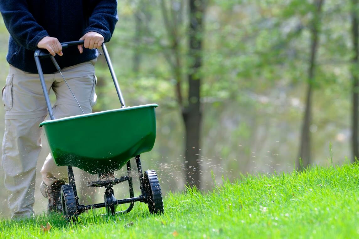 do-it-yourself-lawn-treatment-garden-and-yards