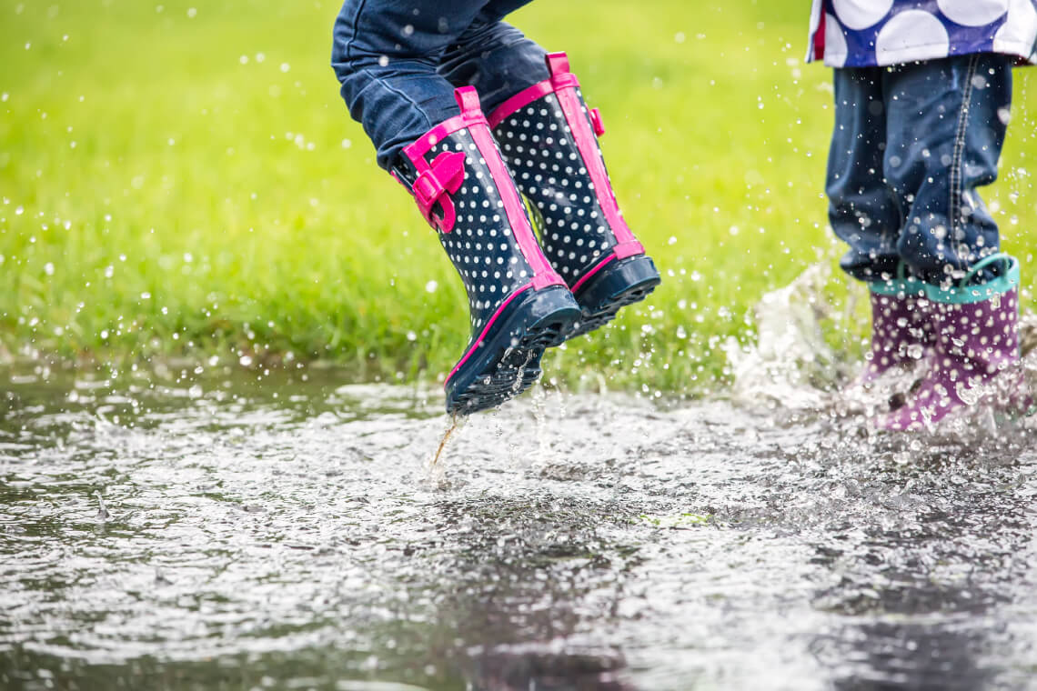 how-to-keep-away-standing-water-in-your-yard-garden-and-yards